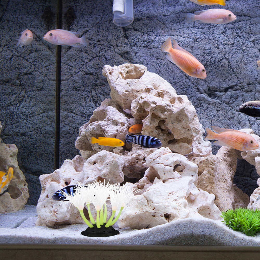 Aquarium Accessories