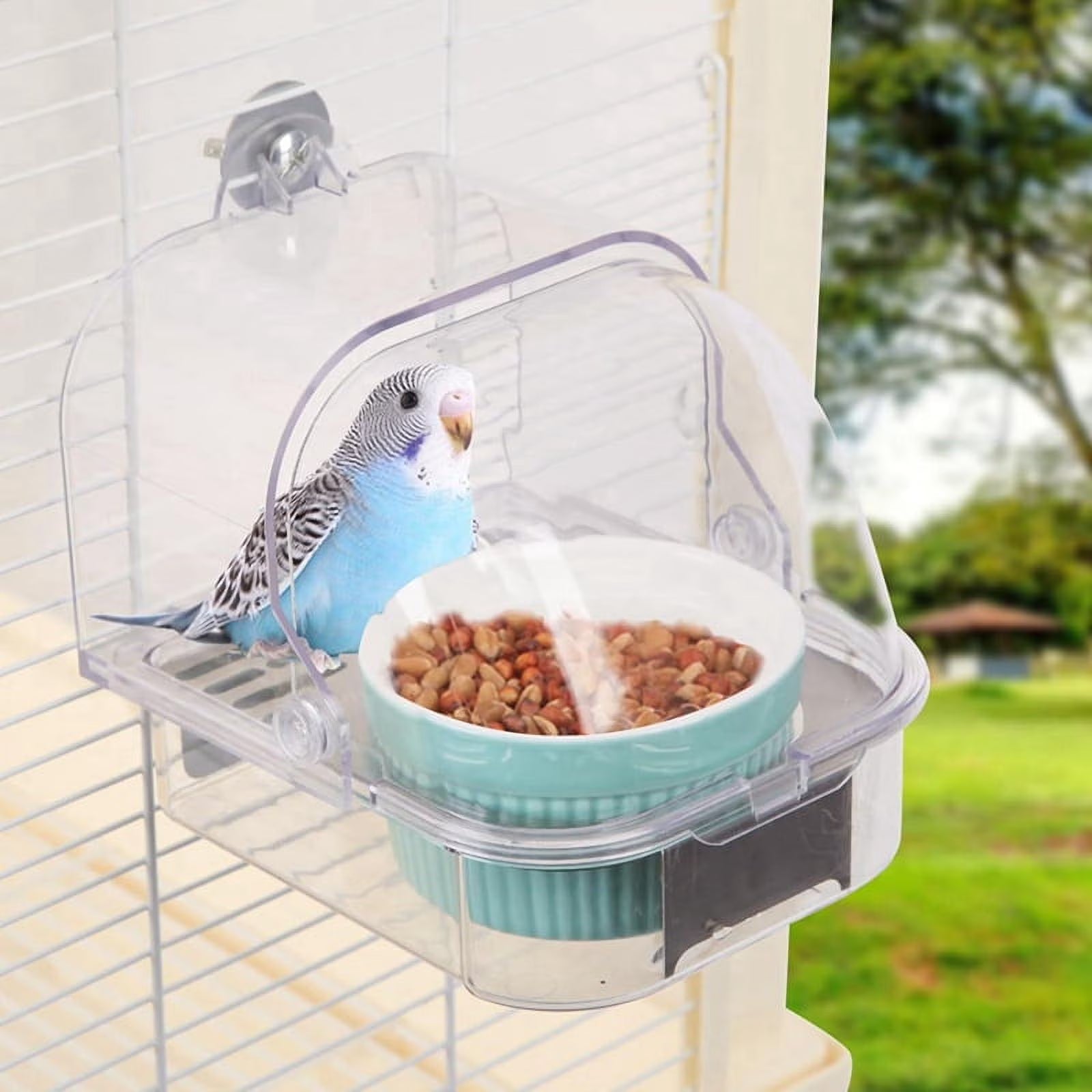Bird Feeding & Watering Supplies