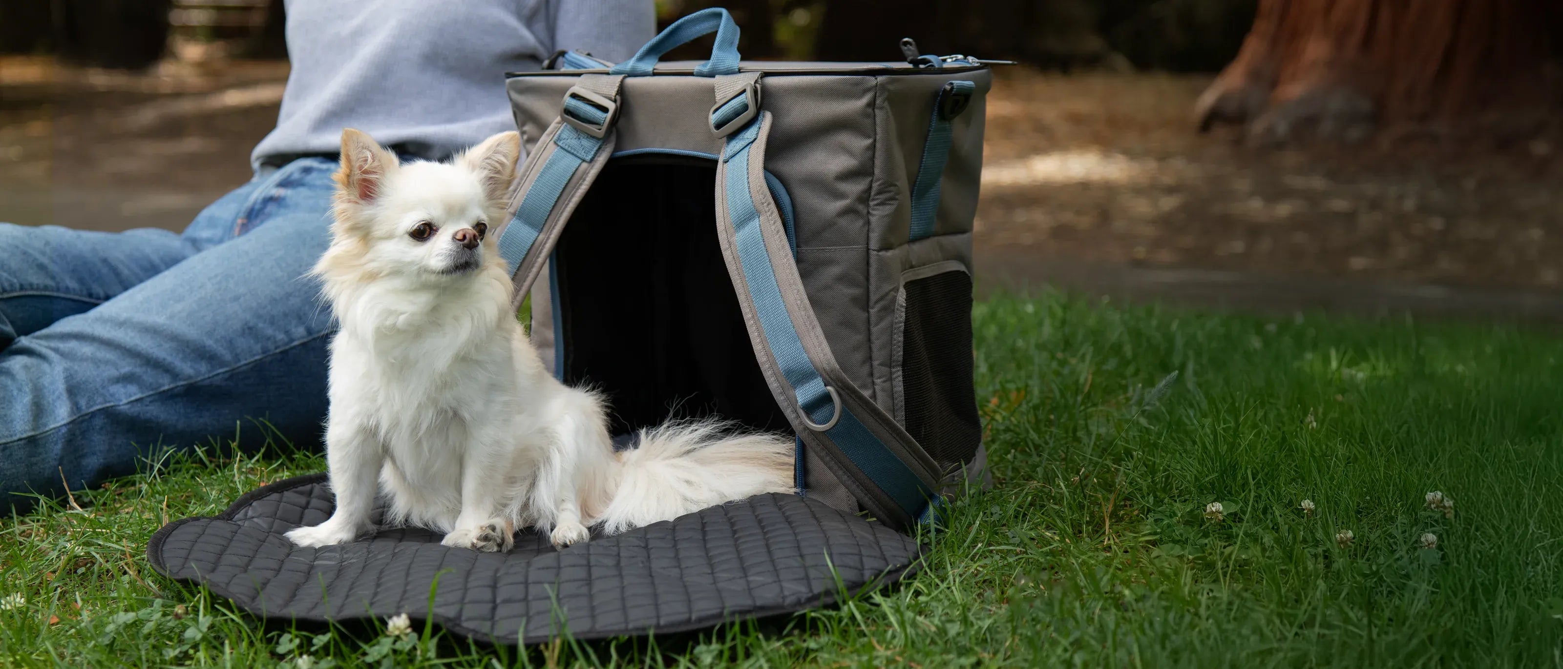 Carriers & Travel Products