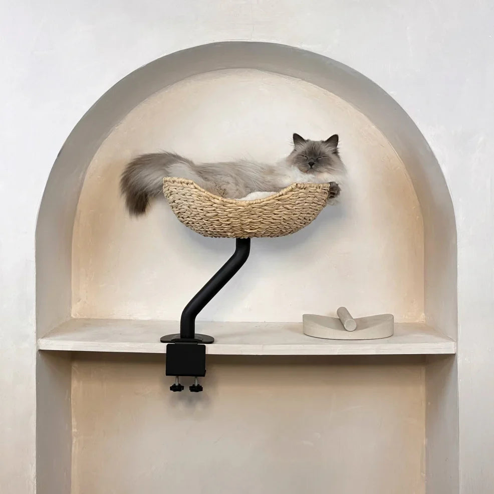 Cat Beds & Furniture