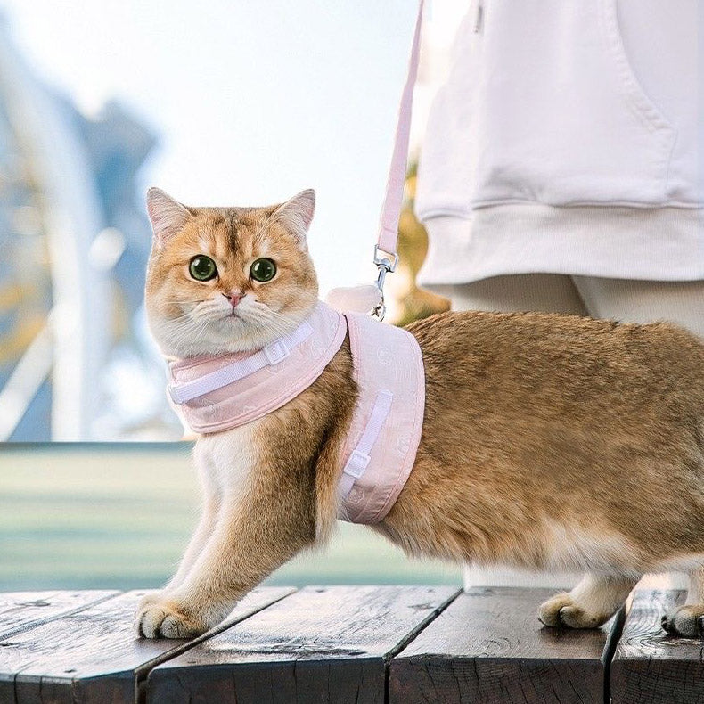 Cat Collars, Harnesses & Leashes