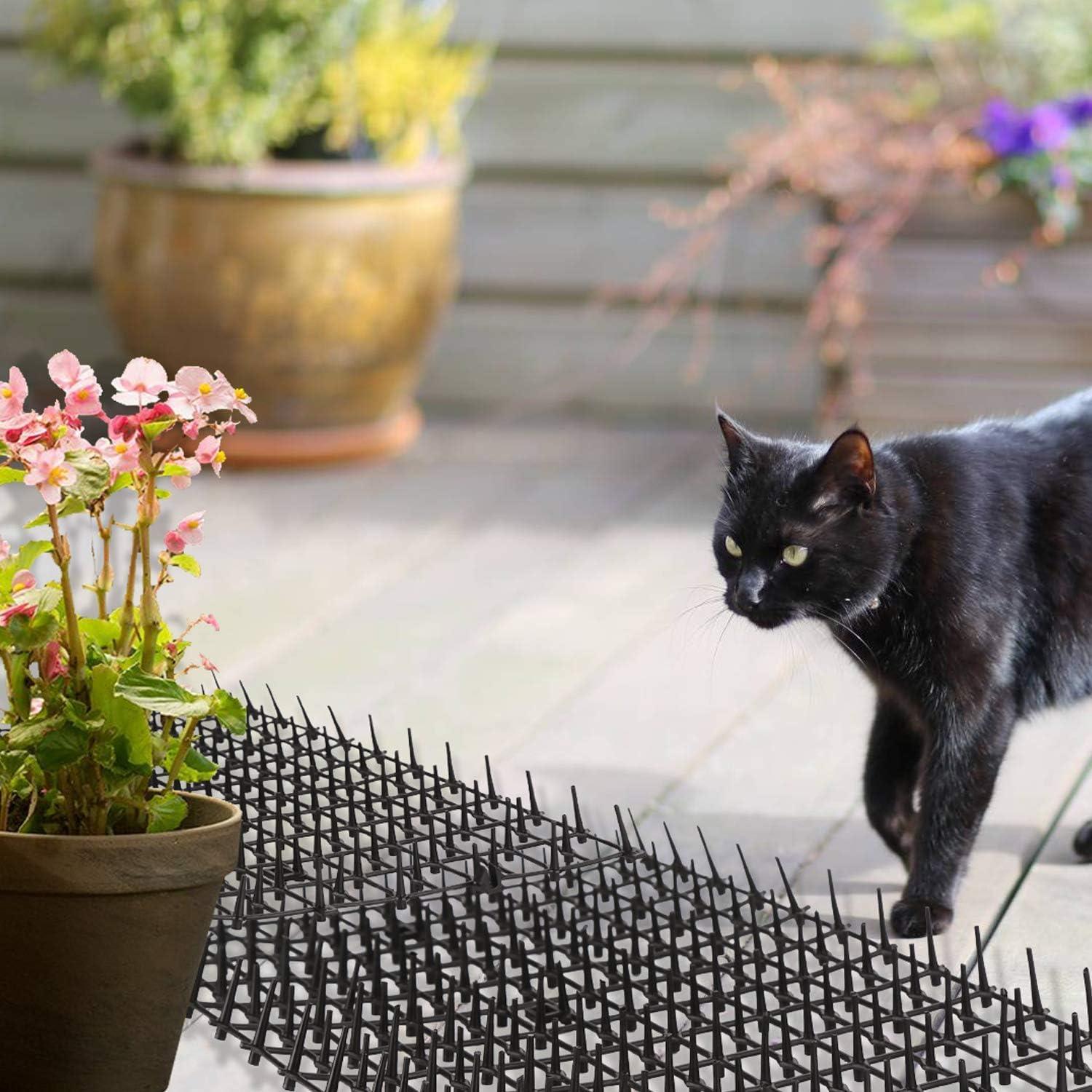 Cat Educational Repellents