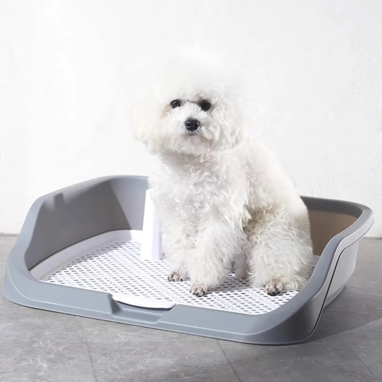 Dog Litter & Housebreaking