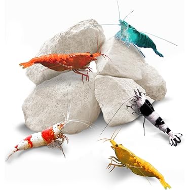 Medication & Health Supplies