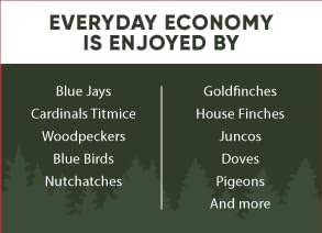 Classic Bird Seed (10 Pounds, Everyday Economy)