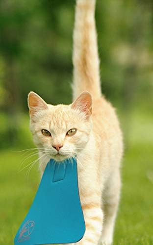 Bird Saving Cat Collar, Prevent Cats from Catching & Killing Birds, Anti Hunting Colorful Bib to Save Birds & Other Wildlife (Small, Purple)
