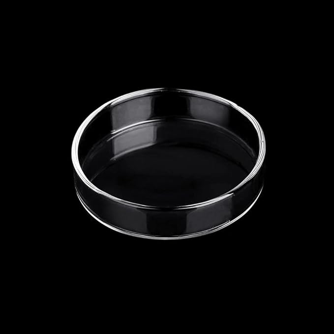 Aquarium Glass Feeder Dish Shrimp Feeding Dish Round Clear Glass Fish Feeder Bowl Fish Tank Food Tray Container Prevent Food Spilling, 60mm