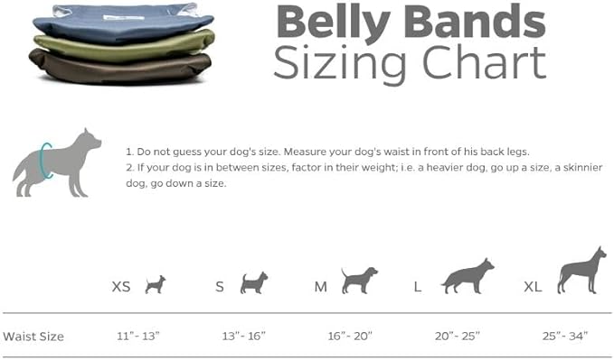 Pet Parents® Washable Belly Bands for Male Dogs (3pack) + Extendrs® of Durable Dog Diapers Male, Premium Male Dog Diapers & Dog Wraps (X-Large, Koda)