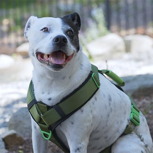 Ultimate Urban Premium Dog Harness - No Choke/Pull/Escape Dog Harness with Adjustable Padding, Heavy Duty, Easy On/Off, High Strength Buckles, Emergency Handle and 3 Connect Points (Green, XXL)