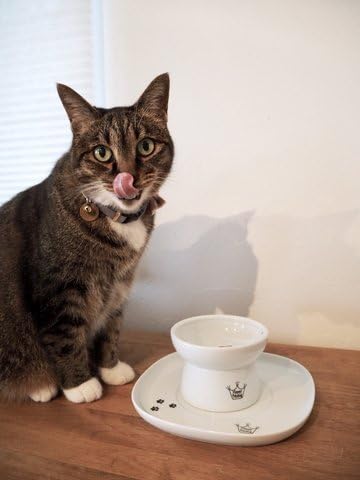 Necoichi Raised Cat Bowl Dining Tray (White, Single)