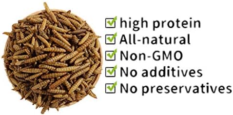 HANDPOINT Black Soldier Fly Larvae Superior to Dried Mealworms for Chickens - Non-GMO - Treats for Birds Chickens Hedgehog Hamster Fish Reptile Turtles (10LB)