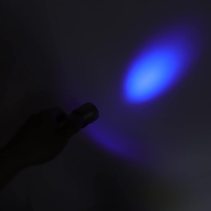 Pilipane Black Light,Black Light Flashlight 21 LED 395nmFlashlight, MiniFlashlight for Dog Cat Urine, Dry Dirt, Bed gogga Detector, Odor elim inator