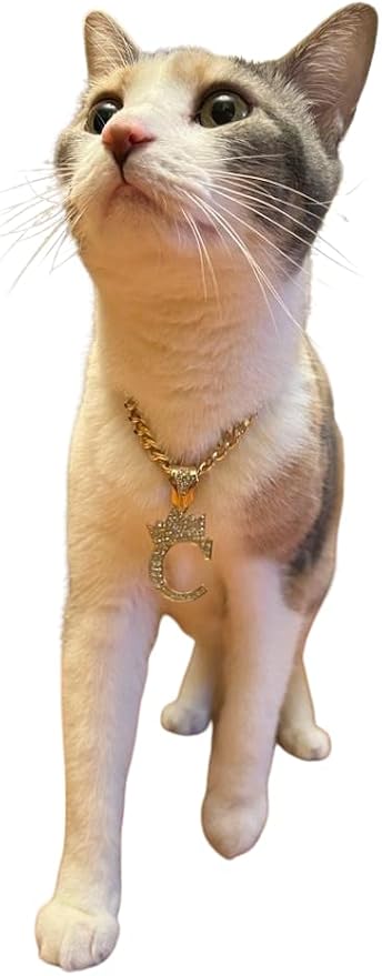 Initial Letter Cuban Chain Dog Chain Pet Chain Pet, Cat, Puppy Necklace (P, 28")