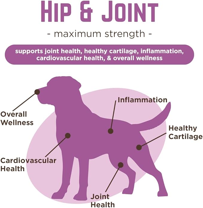 Dr. Joseph's VetPro Complete Dog Hip & Joint Supplement for Arthritis Pain Relief – High-Strength Glucosamine & Chondroitin Chews for Senior Dogs – Vet Formulated Daily Treats, Chicken Flavor, 120 Ct