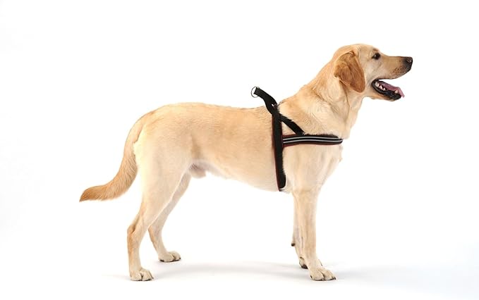 ComfortFlex Sport Dog Harness – No-Choke, Fully Padded, Non-Chafing Harness with Control Handle – Reflective, Lightweight, Adjustable for Active Dogs - XXLarge, Red