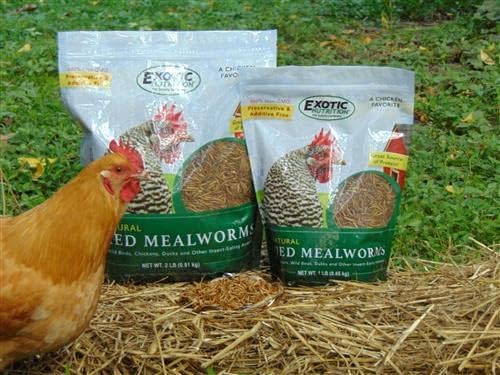 Dried Mealworms - 100% Natural, Non-GMO, High Protein, Bulk Insect Treat for Chicken, Laying Hen, Chick, Wild Bird, Bluebird, Duck, Goose, Turkey, Chickadee, Titmice, Wren, Reptile, Fish (88 lb.)