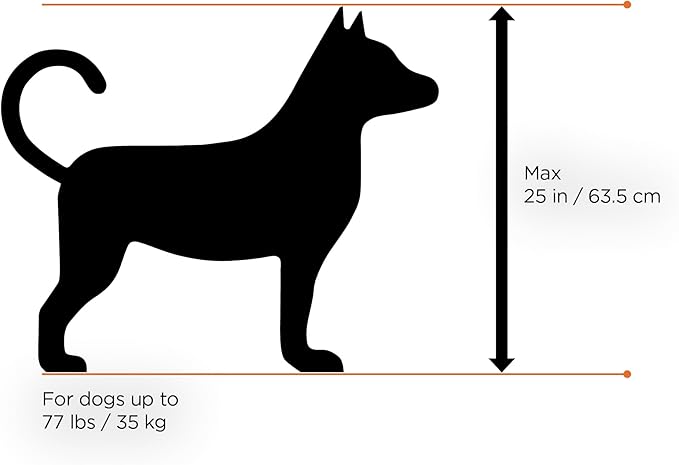 Thule Bexey pet Bike Trailer - Carrier for Small & Large Sized Dogs - Foldable Design - Easy to Connect to Bike - Padded Interior - Converts into Travel Crate - Durable Materials