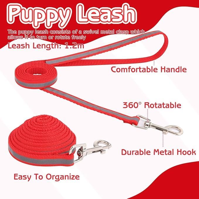 Blue XXS Dog Collar with Bell, Reflective Puppy Collar and Leash Sets Adjustable Quick Release Cat Collars with Bells for Tiny Little XXS XS Extra Small Breed Pets Dogs Kittens Girls Boys