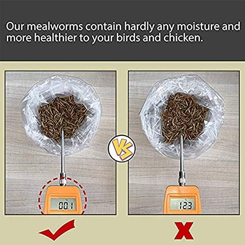 HANDPOINT 22 lbs Dried Mealworms, 100% Non-GMO Natural High-Protein,Treats for Chicken, Fish, Bird Food(22LB)