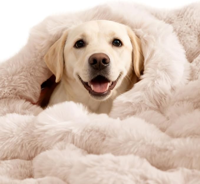 Dog Blanket Self-Warming Throw for Medium & Large Dogs, Dual-Side Sherpa Plush, Thick Crate Bed Cover & Car Seat Mat, Anti-Static Machine Washable No Shrink, 39x30 Inch White
