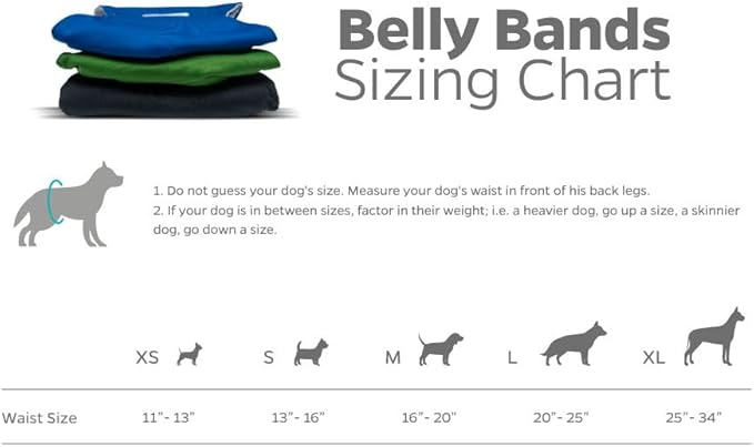 Pet Parents® Washable Belly Bands for Male Dogs (3pack) + Extendrs® of Durable Dog Diapers Male, Premium Male Dog Diapers & Dog Wraps (X-Large, Gentlemen)
