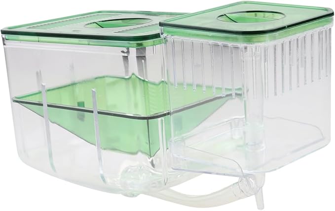 Self Guided Box Isolated Breeding Tank for Fish Hatching Box Transparent Aquarium Isolation Case for and Fish