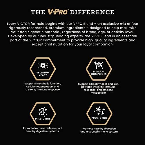 VICTOR Super Premium Dog Food – Chicken Meal & Brown Rice for All Normally Active Dogs of All Life Stages – Gluten-Free, Digestive & Immune Support, Ideal for Dogs with Meat Protein Allergies, 15 lb