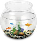 Mini Fish ,Classic Drum Fish Bowl Transparent Plastic Round Bowl Aquarium 360° View of Aquarium Centerpiece or Terrarium 8.27x7 Inch(L)