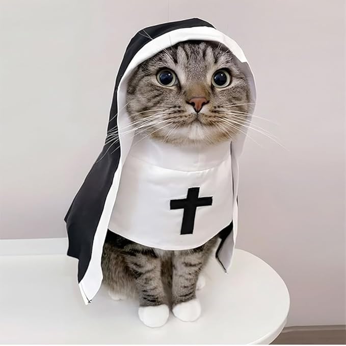 Cat Costume Nun Dress, Nun Dog Costume, Funny Halloween Cloak Outfit for Cat Small Medium Dogs, Cosplay Apparel for Photoshoots Parties Social Media, Adorable Pet Clothing (Black, Large)