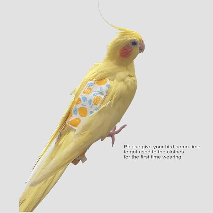 Bird Diapers for Parrot, Cockatiels Conure Monk Parakeets Pigeon, Reusable Parrot Nappy, Bird Clothes for Parrots (Yellow, S, Count, 6)