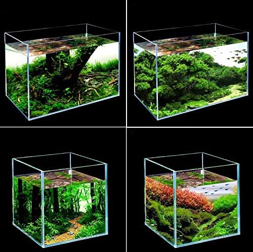 BEGONDIS Rimless Low Iron, Glass Aquarium Tank 5mm Thickness Standard Jointed (7.8" L × 8.6" W × 11" H)