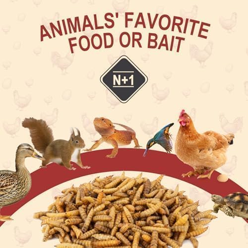 Black Soldier Fly Larvae for Chickens, Non GMO High Calcium BSF Larvae Fly Grubs Than Dried Mealworms for Turkeys, High Protein Chicken Treats for Laying Hens, Natural Wild Bird Food 10LB (2.5LB * 4)