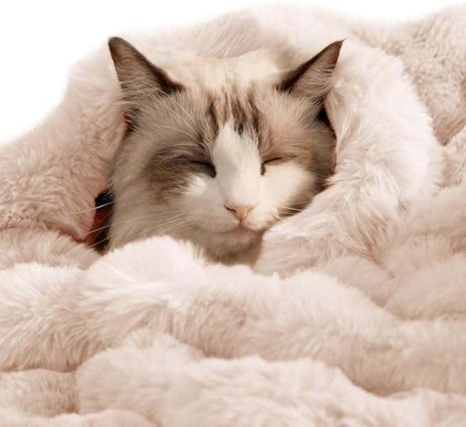 Self-Warming Cat Blanket for Indoor Cats & Small Dogs, Dual-Side Sherpa Plush Throw, Anti-Static Shared Couch Mat for Crate & Travel, Machine Washable No Shrink, 28x22 Inch White
