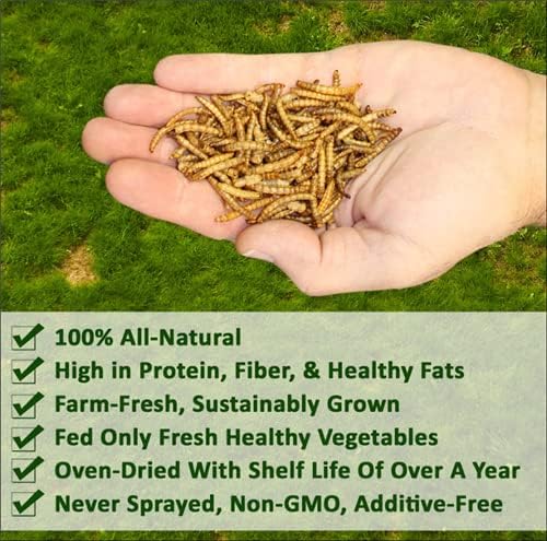 Dried Mealworms - 100% Natural, Non-GMO, High Protein, Bulk Insect Treat for Chicken, Laying Hen, Chick, Wild Bird, Bluebird, Duck, Goose, Turkey, Chickadee, Titmice, Wren, Reptile, Fish (22 lb.)