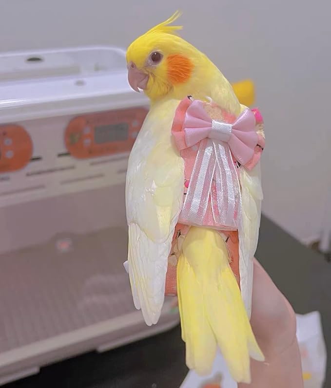 Bird Flight Suits Diapers, Parrot Diapers for Monk Parakeets, Cockatiels, Parrot Clothes Costume, Bird Training Nappy Suit Liners Clothes (Small,White)