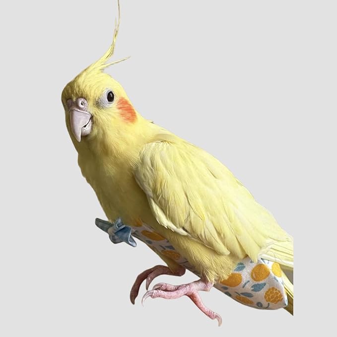 Bird Diapers for Parrot, Cockatiels Conure Monk Parakeets Pigeon, Reusable Parrot Nappy, Bird Clothes for Parrots (Yellow, S, Count, 6)