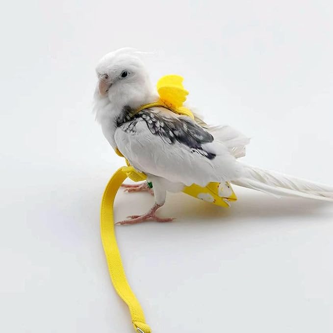 Adjustable Bird Diaper Harness Flight Suit Clothes with 80 Inch Flying Leash Rope for Parrots Conure Cockatiel (Green,Macaw)