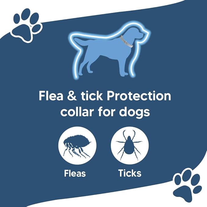 Tick and Flea Collar for Dogs, Flea Collar for Dogs, Tick Collar for Dogs,Flea Collar for Large Dogs, Dog Flea Collars, Lasts Up to 8 Months, Indoor & Outdoor Use – 2 Pack