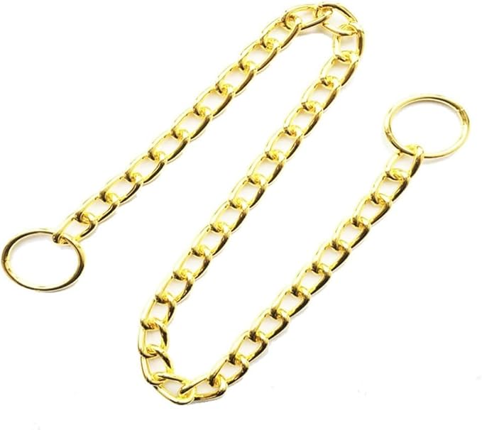Chain Choke Collar for Dogs, Metal Slip Link Training Heavy Duty Dog Collar Martingale Puppy Collars for XXS XS Small Medium Large Big XL Breed Dogs (Gold, XL(Neck Max 22inch) D4.0mm)