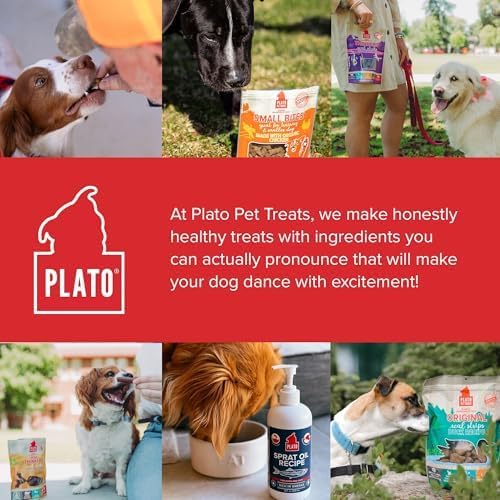 PLATO Pet Treats Real Strips - Air-Dried Meat Bars for Dogs - Delicious, Limited Ingredient Dog Treats - Grain Free Dog Treats - Original Real Strips Organic Chicken 18oz - 2 Pack