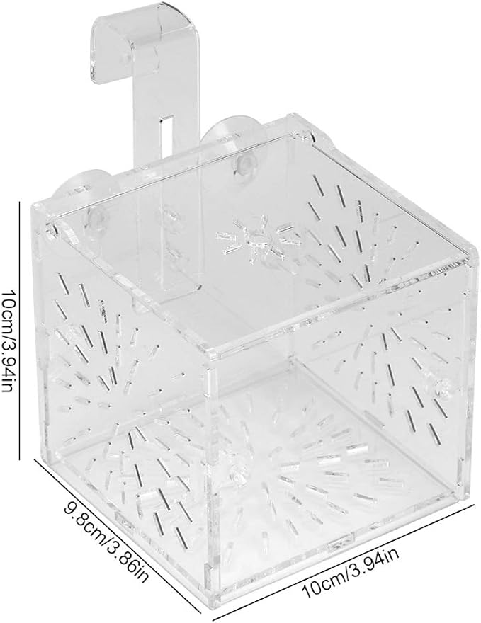 Fish Breeding Incubator, Fish Tank Hook Sucker Design Stable Fish Incubator Box for Breeding for Isolation(10CM*10CM*10CM)