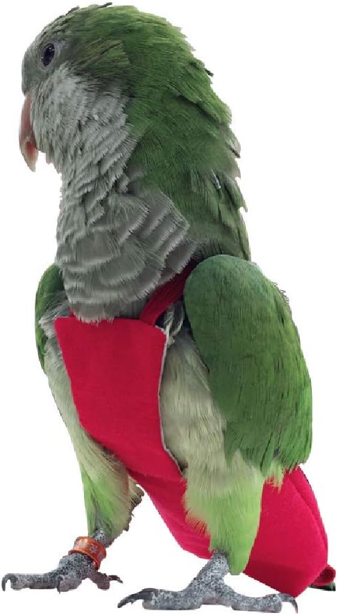 Parrot Diaper Bird Flight Suit, Bird Clothes, Waterproof Lining Pet Bird Supplies (XL, Red)