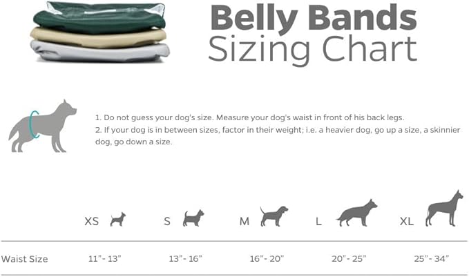 Pet Parents® Washable Belly Bands for Male Dogs (3pack) + Extendrs® of Durable Dog Diapers Male, Premium Male Dog Diapers & Dog Wraps (Large, Spruce)