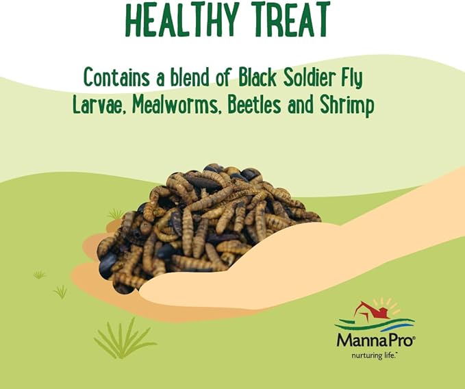 Manna Pro Farmhouse Favorites Quirky Quatro Crunch, 100% Natural Protein Treat for Mixed Flocks & Poultry – Blend of Black Solider Fly Larvae for Chicks and Chickens, Mealworms, Beetles & Shrimp – 2lb