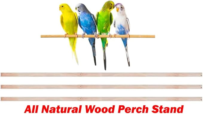 Open Top Canary Parakeet Cockatiel Lovebird Finch Bird Cage with Breeding Doors