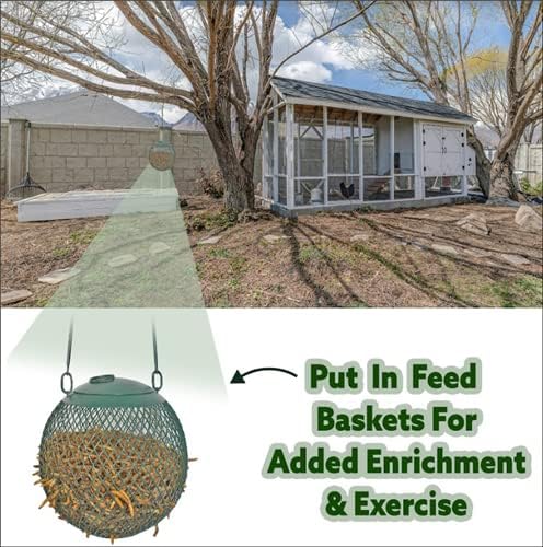 Dried Mealworms - 100% Natural, Non-GMO, High Protein, Bulk Insect Treat for Chicken, Laying Hen, Chick, Wild Bird, Bluebird, Duck, Goose, Turkey, Chickadee, Titmice, Wren, Reptile, Fish (11 lb.)