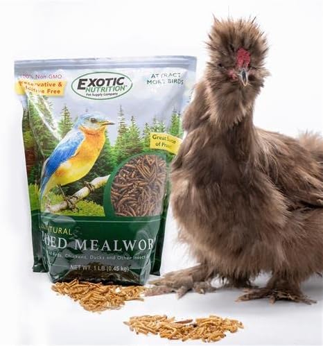 Dried Mealworms - 100% Natural, Non-GMO, High Protein, Bulk Insect Treat for Chicken, Laying Hen, Chick, Wild Bird, Bluebird, Duck, Goose, Turkey, Chickadee, Titmice, Wren, Reptile, Fish (5 lb.)