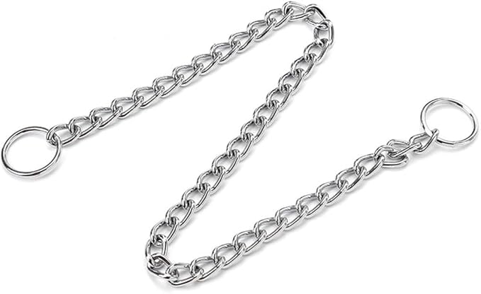 Chain Choke Collar for Dogs, Metal Slip Link Training Heavy Duty Dog Collar Martingale Puppy Collars for XXS XS Small Medium Large Big XL Breed Dogs (Silver, XS(Neck Max 12inch) D2.0mm)