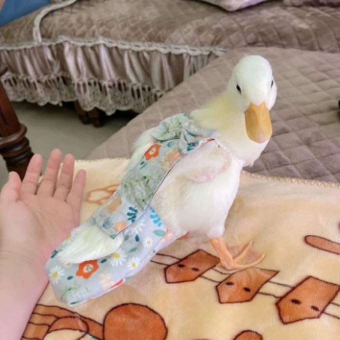 Duck & Chicken Poultry Diapers - Waterproof, Adjustable, Washable & Reusable (350g-450g)