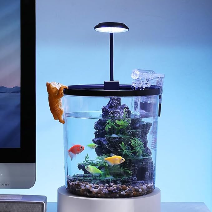 GarveeLife Small Fish Tank, Betta Fish Tank kit with LED Light, Oxygen Generator, Fish Tank Starter Kits for Beta,Goldfish (Black, 1.5 Gallon)